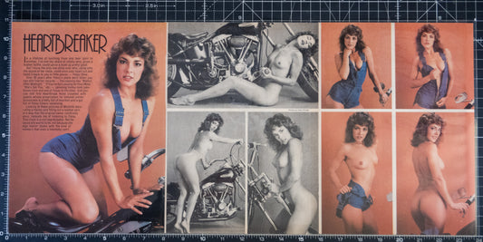 Centerfolds & Ol Ladies Print 17